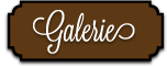 Vai alla Galleria Immagini