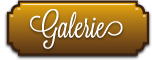 Vai alla Galleria Immagini